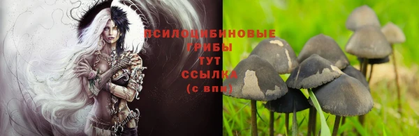шишки Балабаново