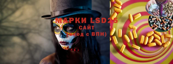 ПСИЛОЦИБИНОВЫЕ ГРИБЫ Баксан