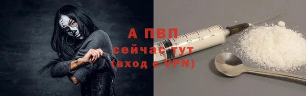 шишки Балабаново
