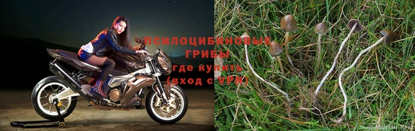 прущая мука Ростов