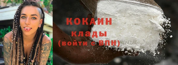 шишки Балабаново