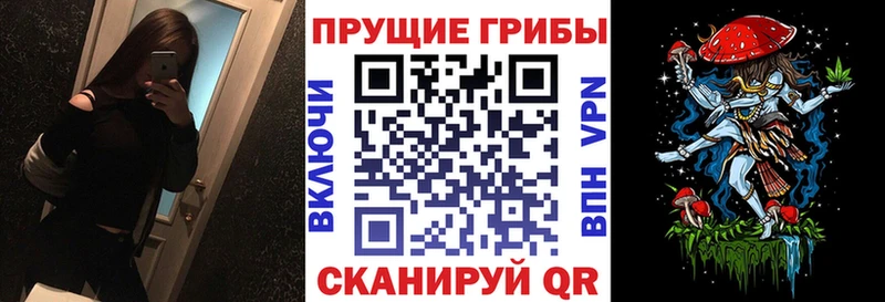 Псилоцибиновые грибы ЛСД  купить наркотик  Городовиковск 